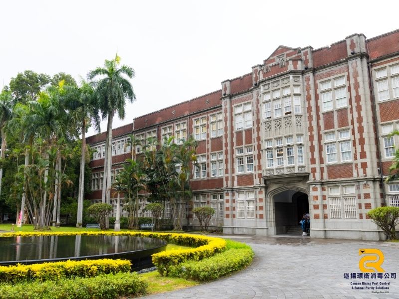 台灣校園與公家機關病媒防治實景，顯示學校建築與環境整潔現況