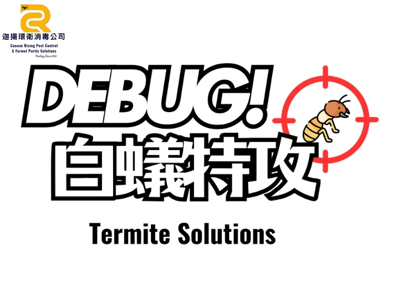 白蟻特攻 DEBUG! 子品牌除白蟻服務識別 Logo